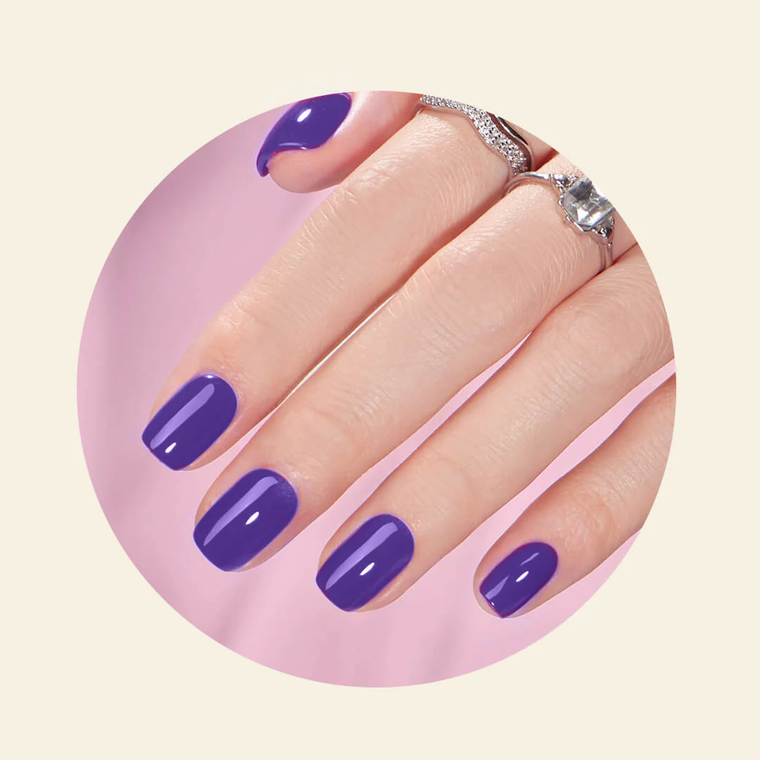 Blueberry - Image 3