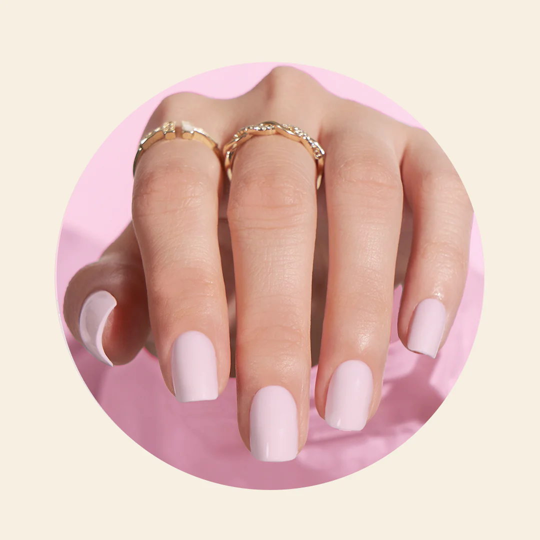 Shell - Image 3