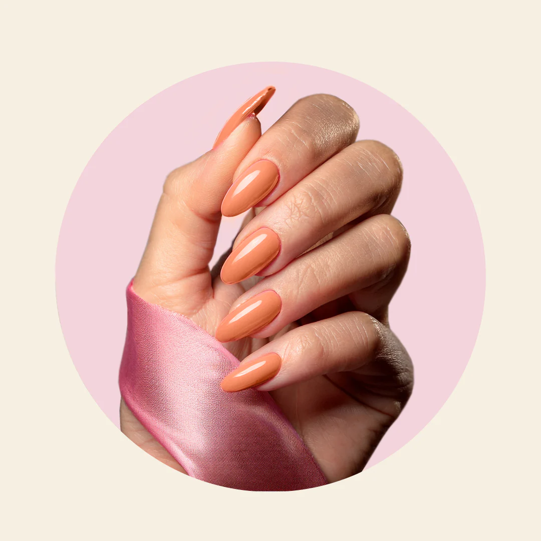 Sherbert - Image 3